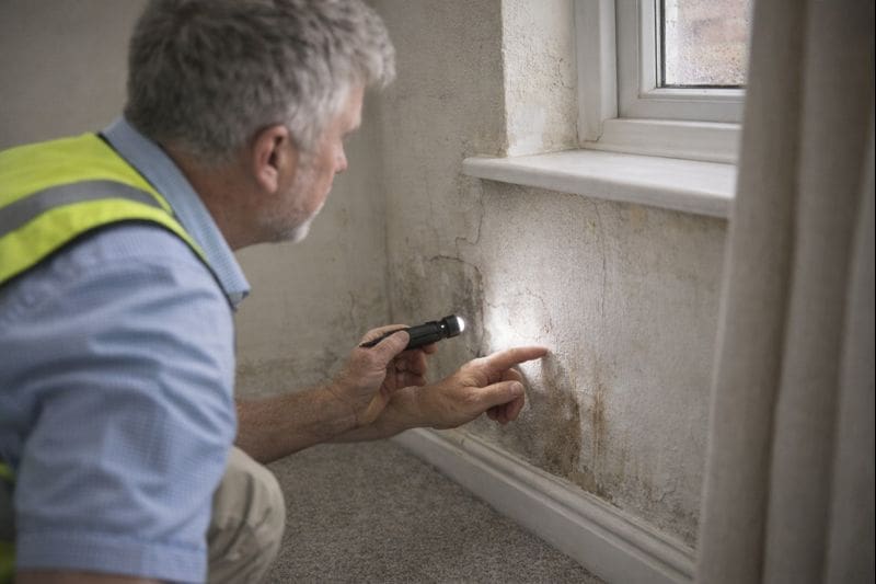 Surveyor inspecting damp staining and cracks on an internal wall
