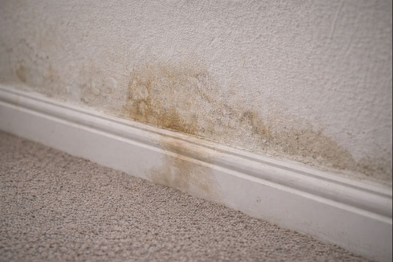 Rising damp visible along skirting boards in a UK home